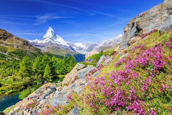 Go Slow in the Swiss Alps - Naturetrek