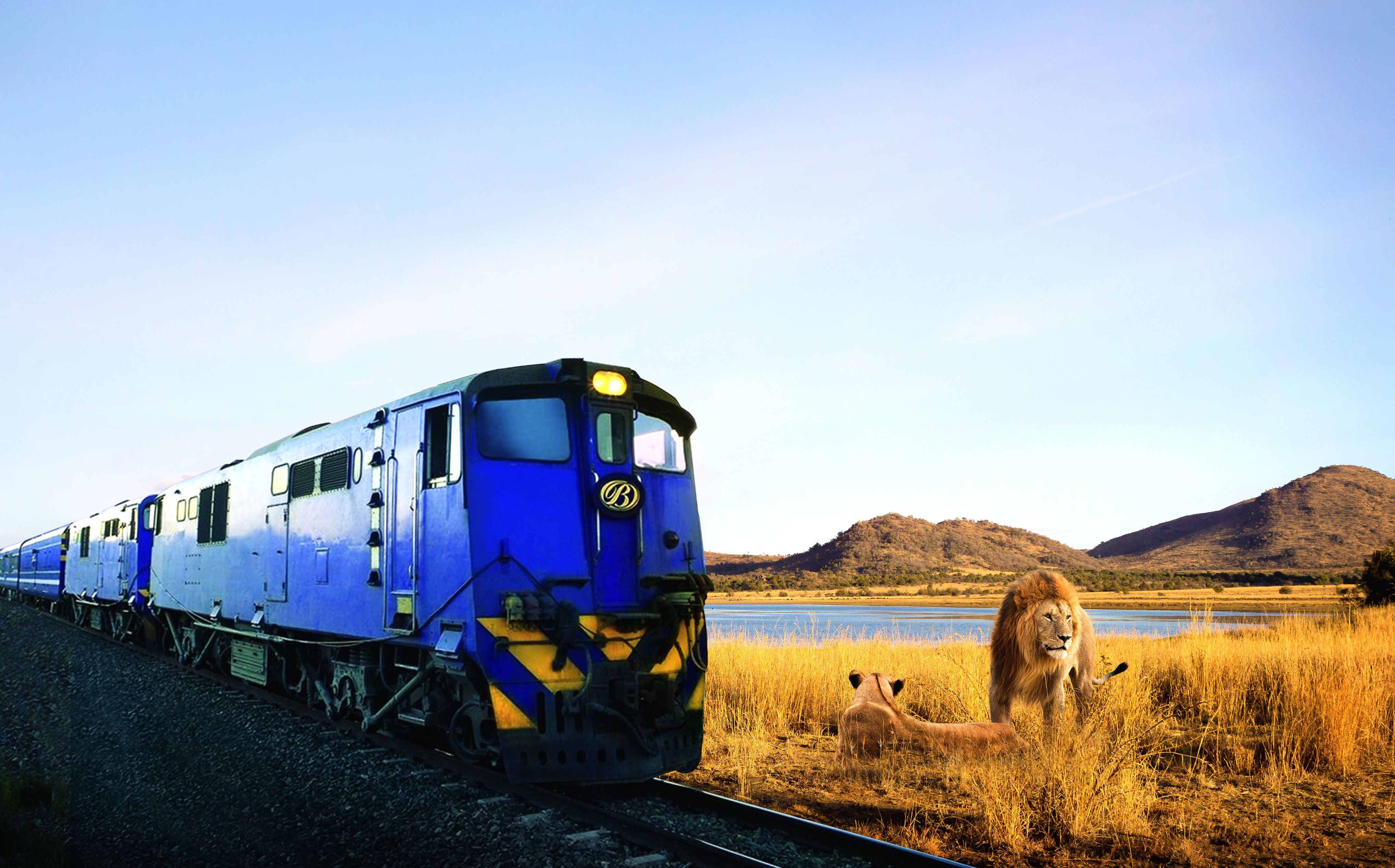 Wilds of Africa: Big Five Experience, Blue Train Traveller and Cunard Voyage