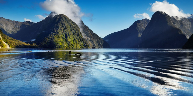 Hidden Gems & Iconic Landmarks of New Zealand