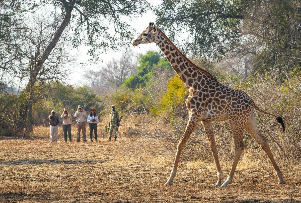 RPS Nsefu 07-24-187e.JPG