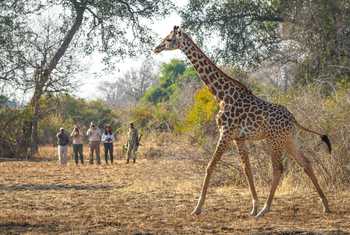 RPS Nsefu 07-24-187e.JPG