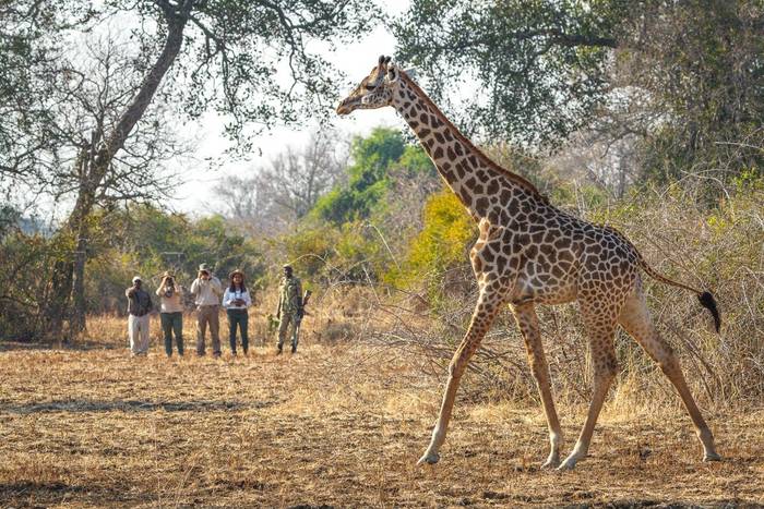 RPS Nsefu 07-24-187e.JPG