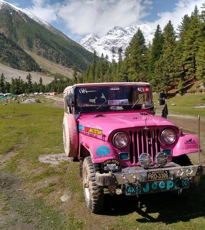 Pakistani jeeps