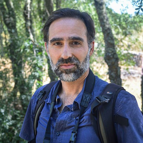 Fernando Romão