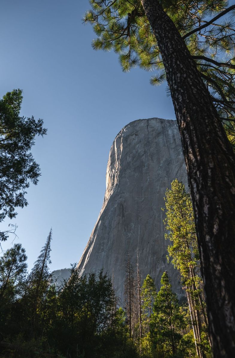 Intrepid Travel-USA__Yosemite_hike and park0934.jpg