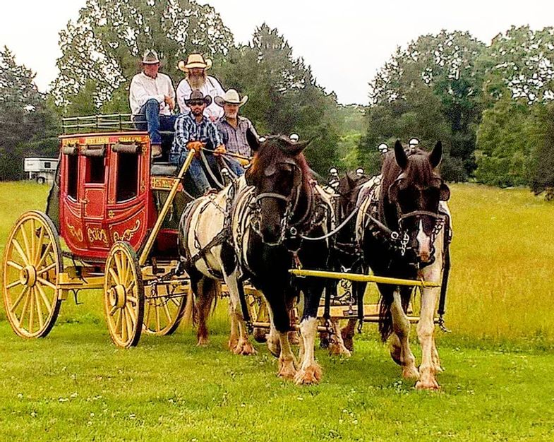 hidden-trails-rs-ranch-rides-ozarks-carriage-ride-2.jpg