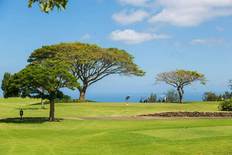 Hilton Waikoloa Village Makani golfers.jpg