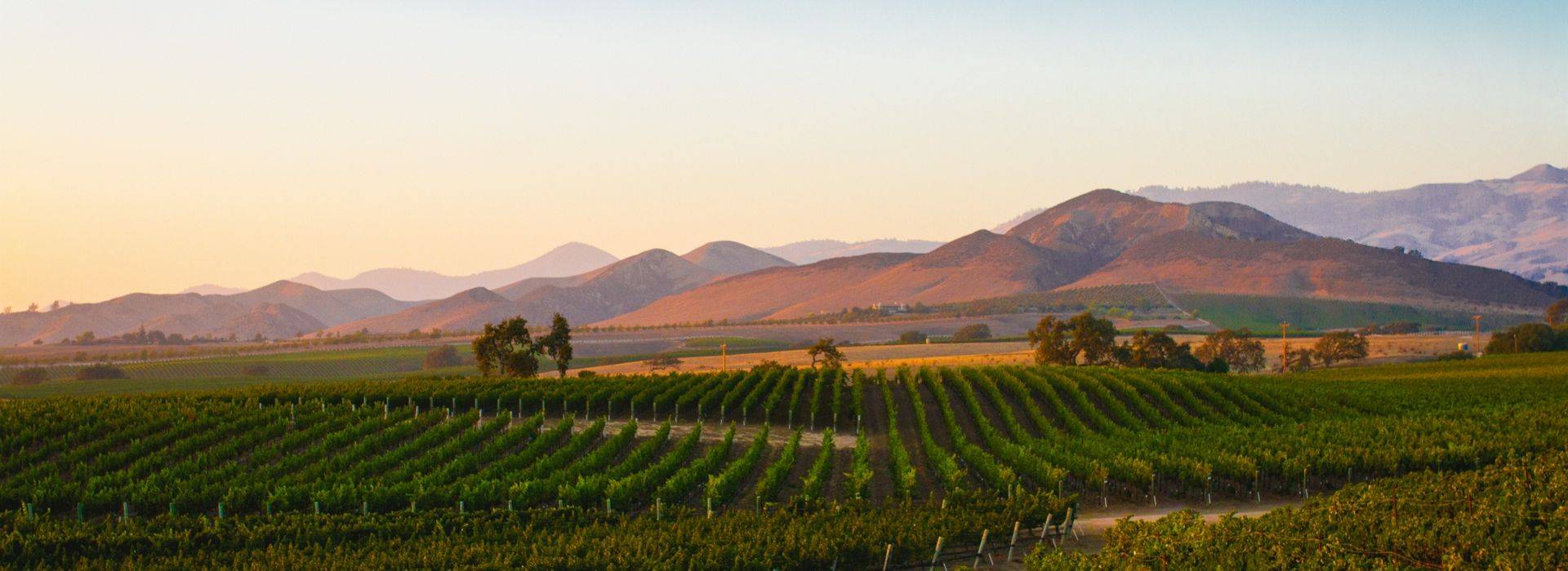 california-winery-shutterstock.jpg