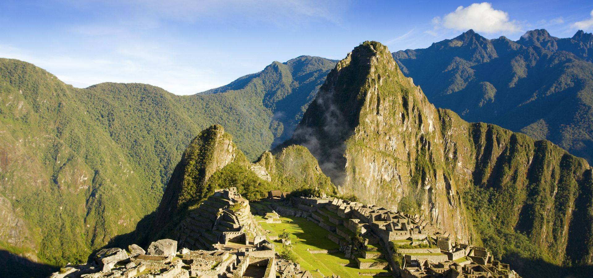 Go Andes