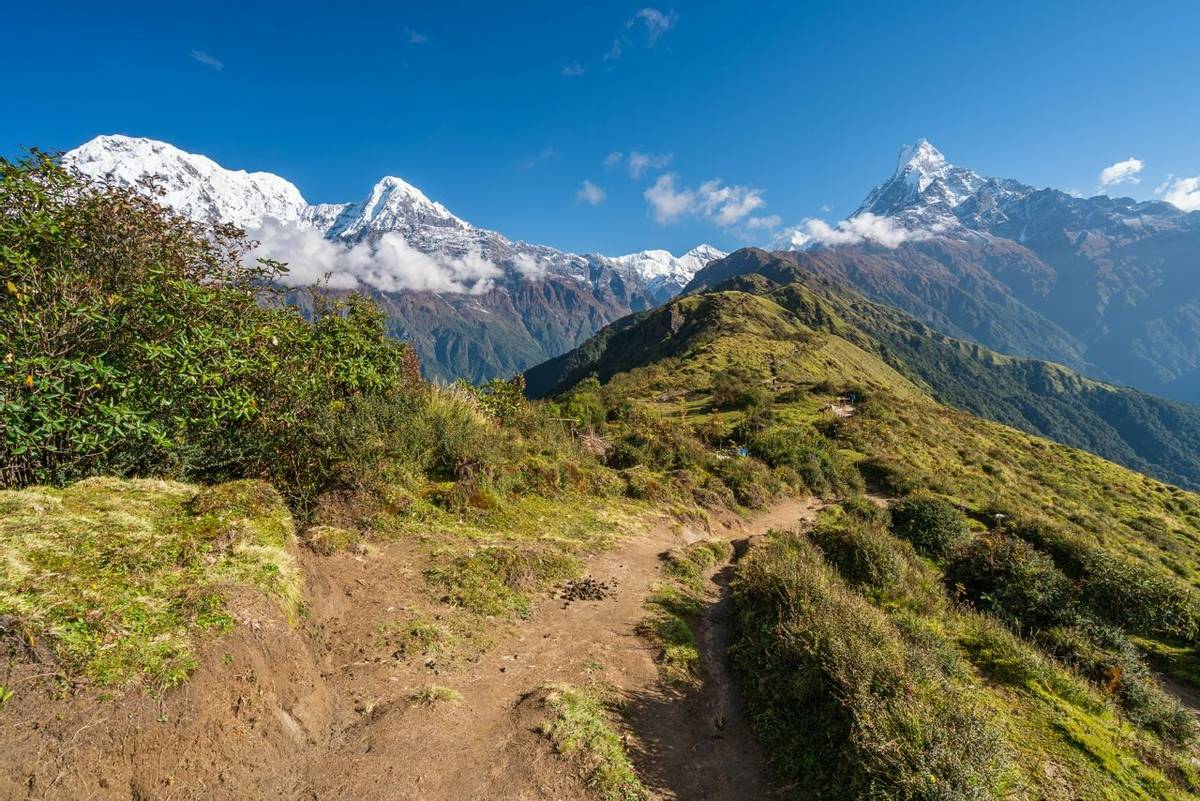 Beautiful trekking trail in Mardi Himal trekking route in Annapurna mountains range subrange of Himalya mountains range, Nep…