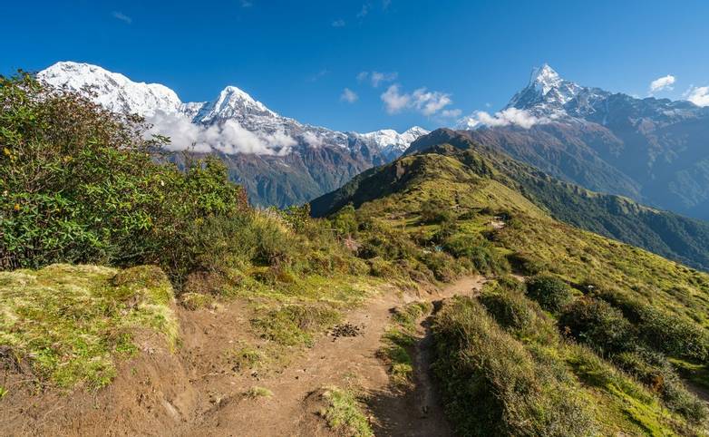 Beautiful trekking trail in Mardi Himal trekking route in Annapurna mountains range subrange of Himalya mountains range, Nep…