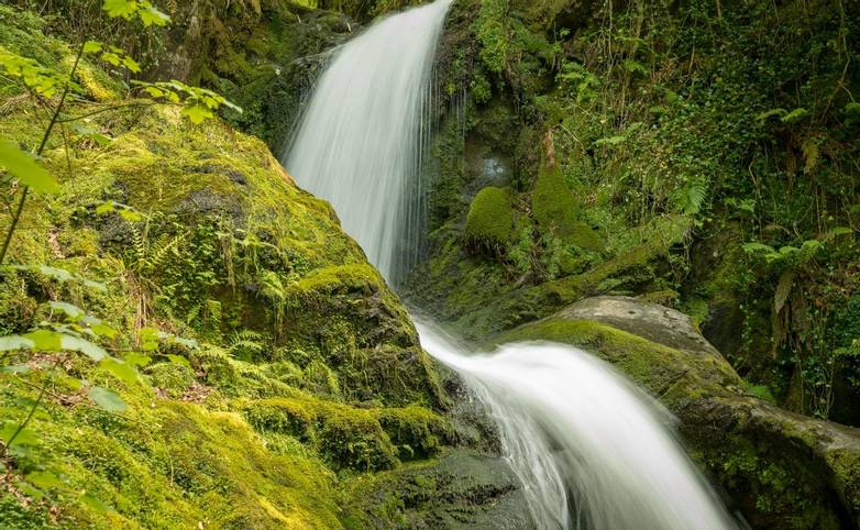 Dolgoch Waterfalls, Wales, UK