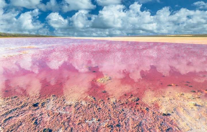 Picturesque shore Pink Salt Lake, Gregory in Western Australia. Blue sky with clouds reflect in Hutt Lagoon between Geraldto… Picturesque shore Pink Salt Lake, Gregory in Western Australia. Blue sky with clouds reflect in Hutt Lagoon between Geraldto…