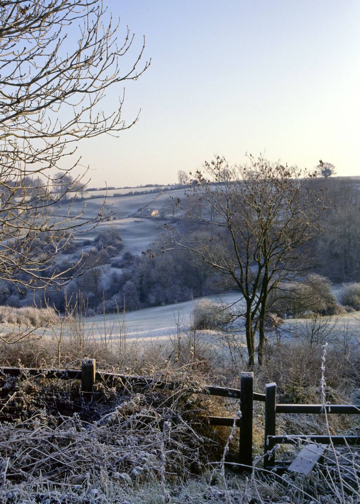 England, Gloucestershire, Cotswolds, Winter view , heavy frost near Chalford