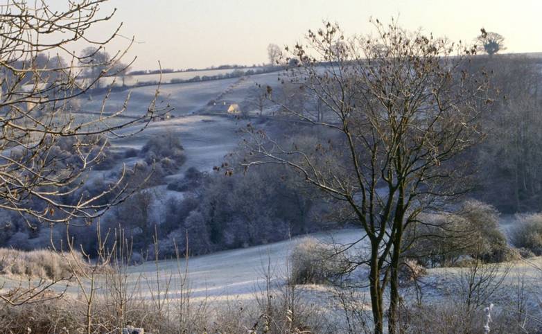 England, Gloucestershire, Cotswolds, Winter view , heavy frost near Chalford