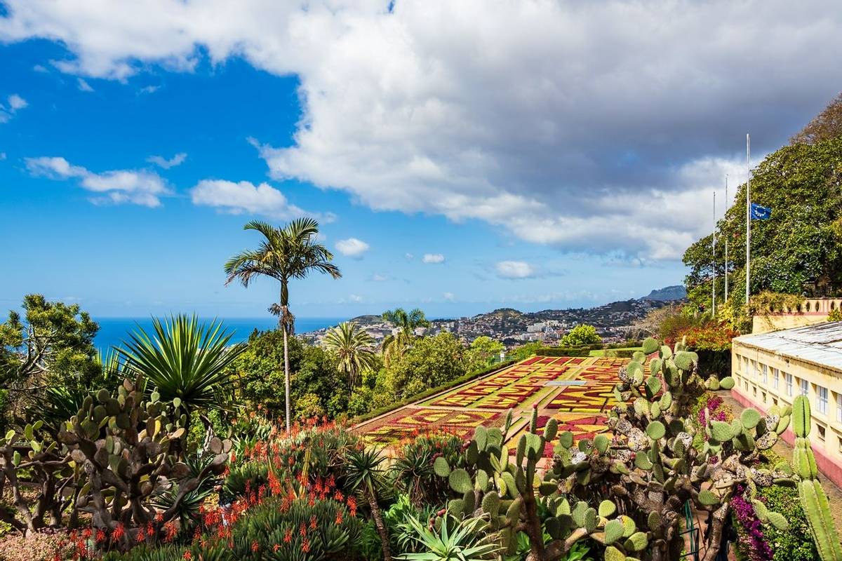 Blick auf einen Garten in Funchal auf der Insel Madeira, Portugal