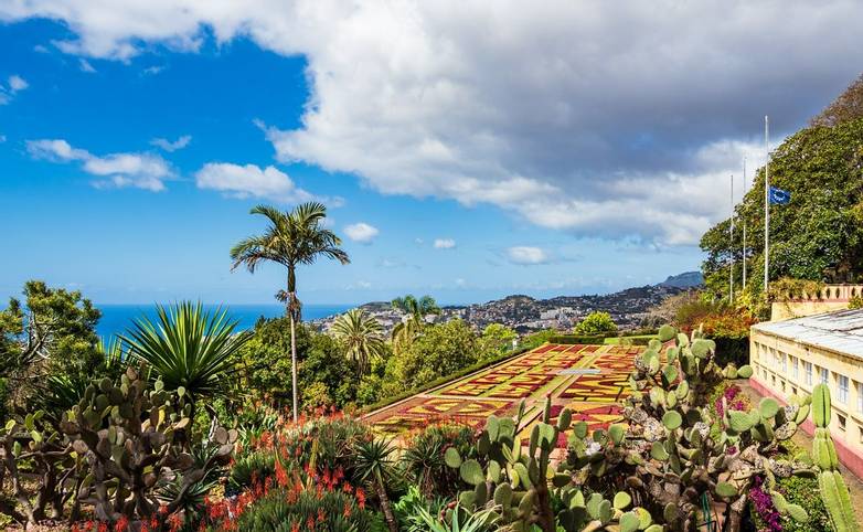 Blick auf einen Garten in Funchal auf der Insel Madeira, Portugal