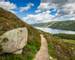 Cairngorms - Guided Trail - AdobeStock_67993210.jpeg