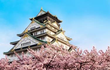 rf_as_osakacastle_cherryblossom_japan_01_2025_rgb.jpg