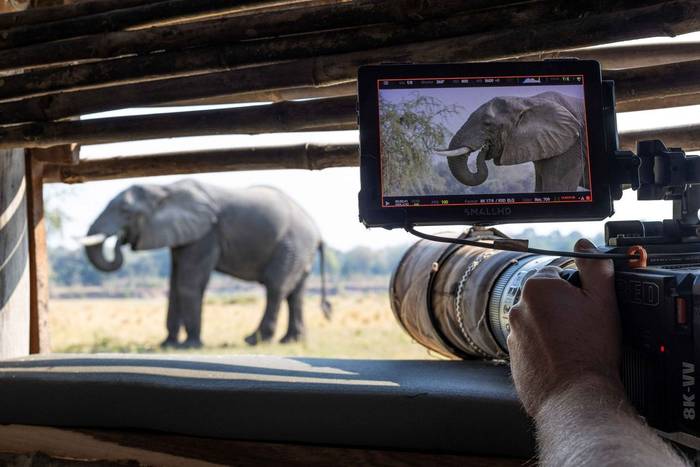 From the Hide small            Robert Hofmeyr - Copy.jpg