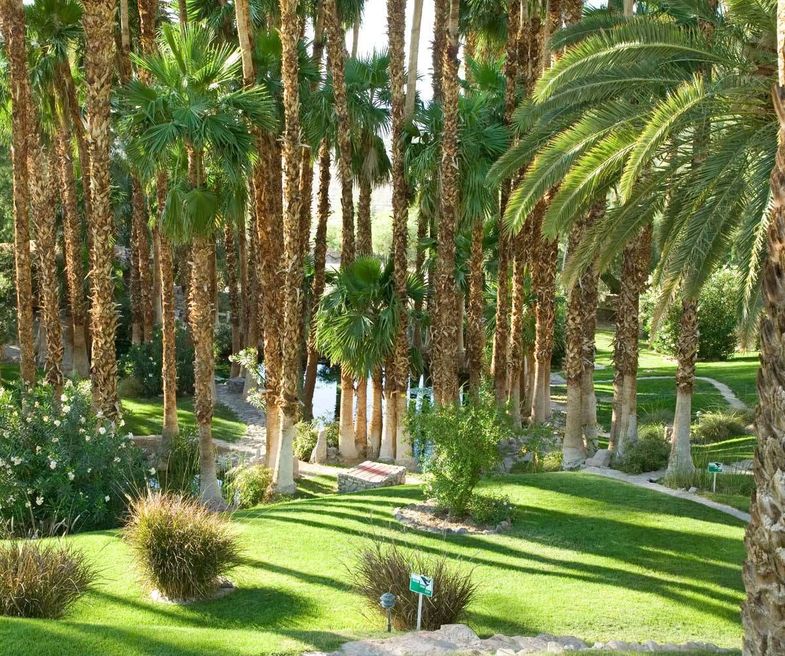 The Inn at Death Valley gardens.jpg