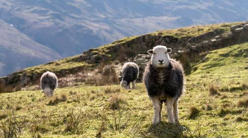 Northern Lake District Members’ Guided Walking Break
