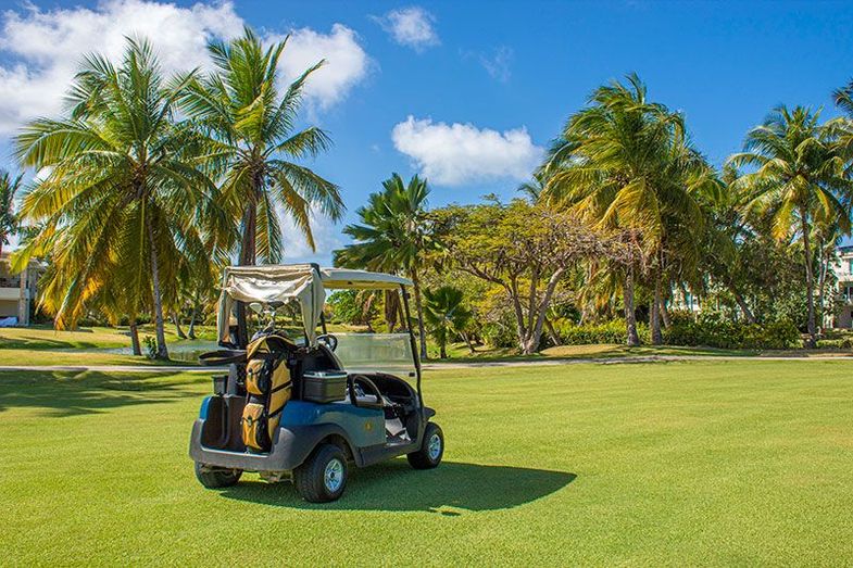 Paradisus Palma Real Golf & Spa Resort cart 2.jpg