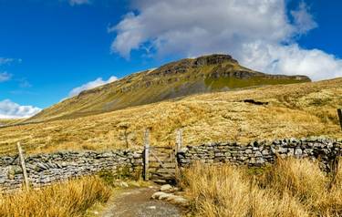 A path leading to PenyGhent, in the Yorkshire Dales.