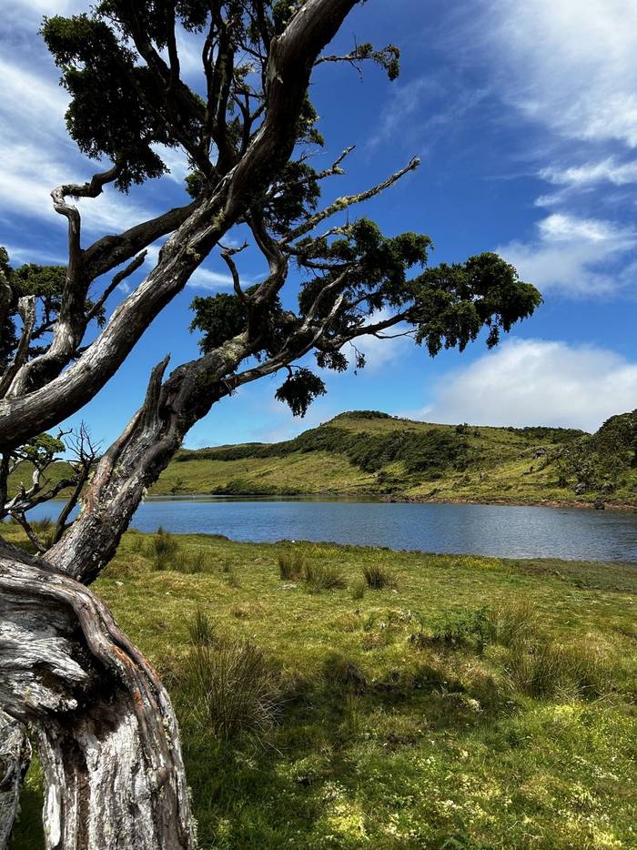 Lake on Pico (Sara Frost).jpg