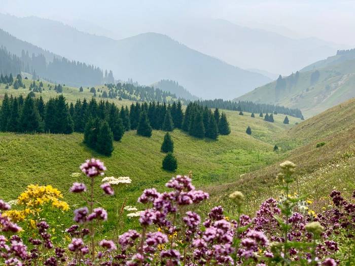 Tien Shan valley in Kazakhstan shutterstock_1466101091.jpg