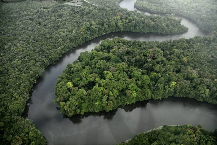 Essequibo River (Peter Stott)