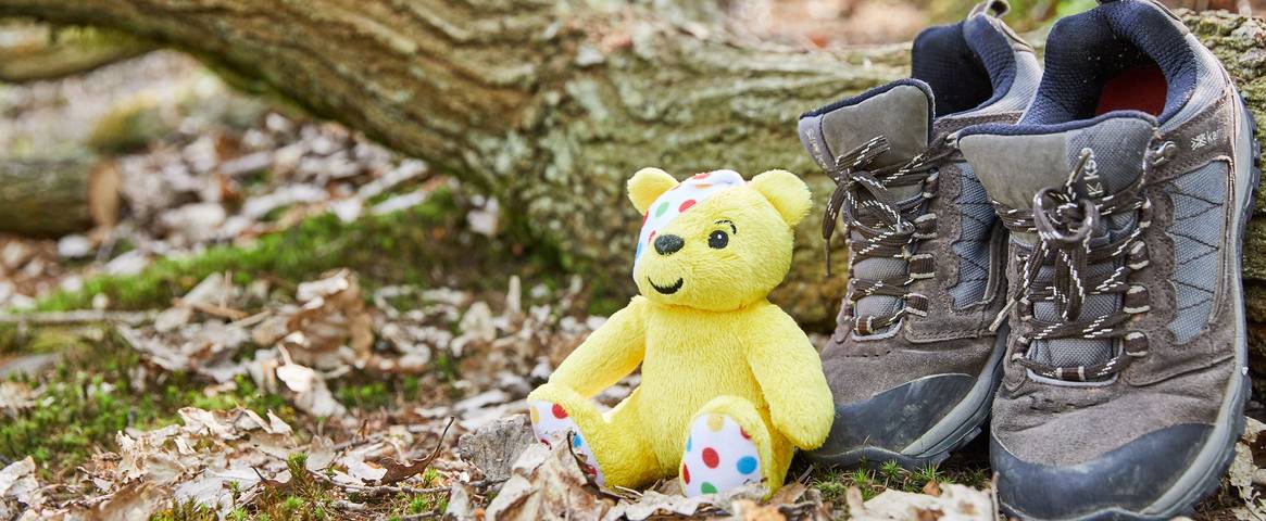 BBC Children in Need! Mascot, Pudsey Bear