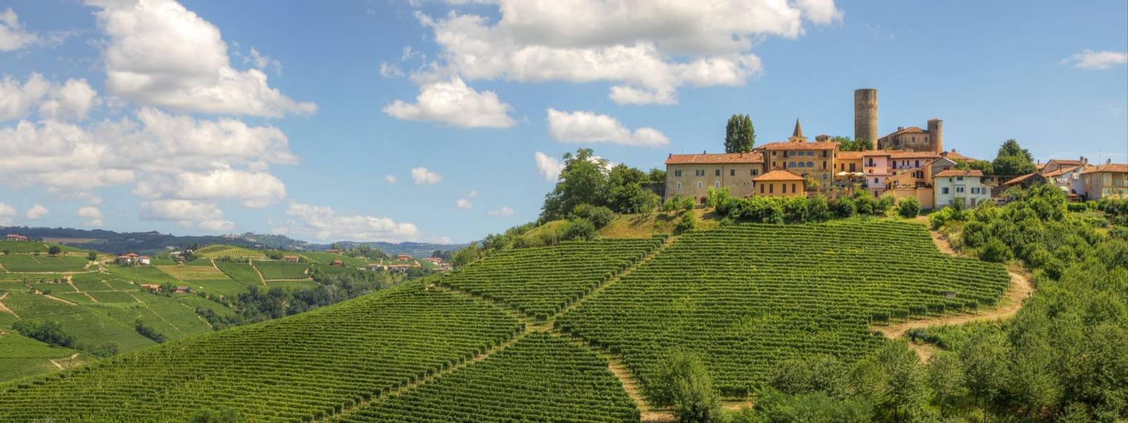 Hills and vineyards of Piedmont, Italy.