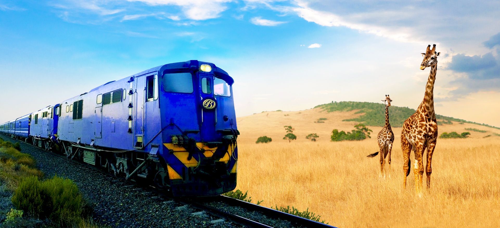 Wilds of Africa: Big Five Experience, Blue Train Traveller and Cunard Voyage