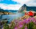Norway-LofotenIslands-Svolvaer-AdobeStock_124586418.jpeg