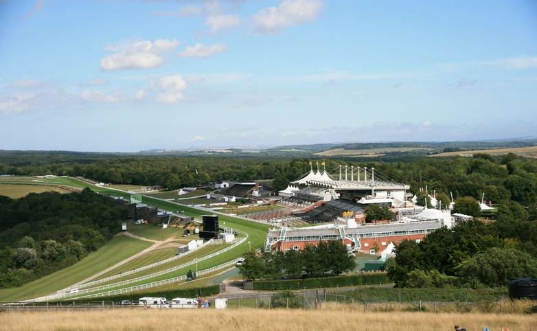 View over Goodwood Race Course from The Trundle.JPG