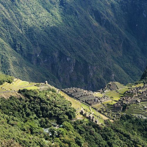 Peru are planting 1 million trees near Machu Picchu