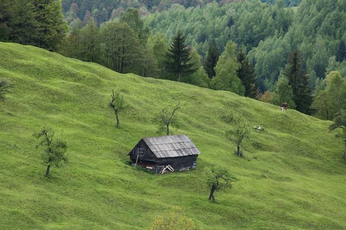 Romanian Landscape (Judith Rolfe)