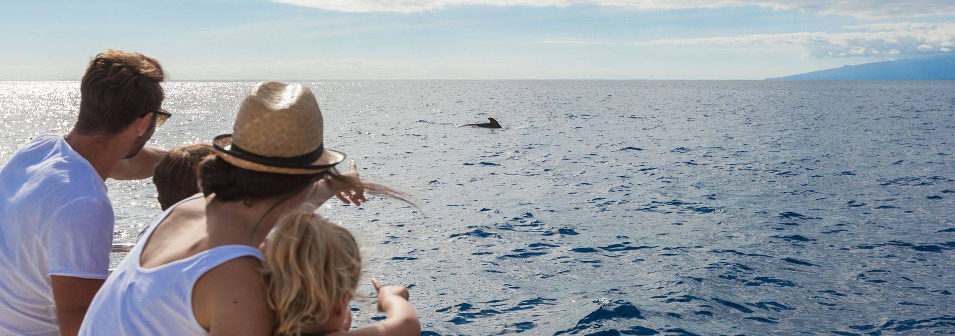 cetaceos_costa-sur_IMG_0702 RESIZED.jpg Credit Turismo de Tenerife