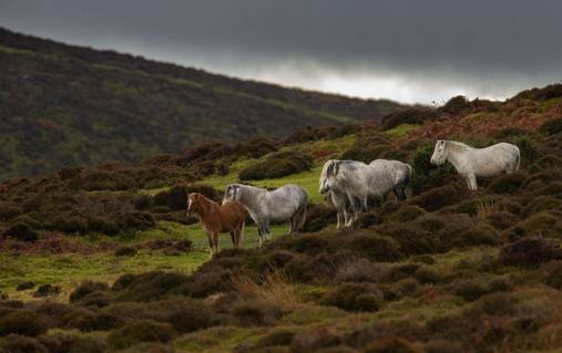 Shropshire Hills Skyline Challenge