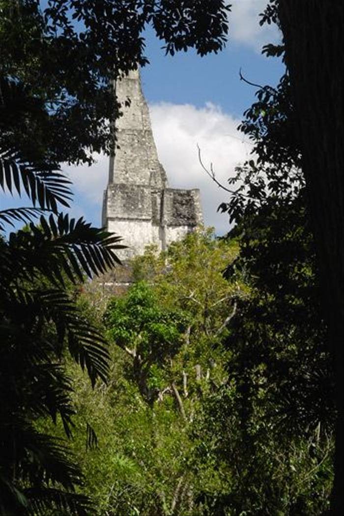 Mayan temple (Peter Dunn)