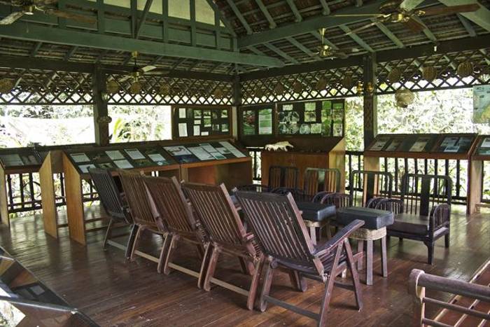 Sukau Rainforest Lodge Education Area (Dani Free)