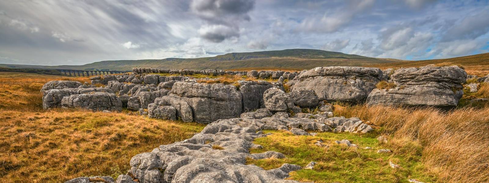 Winskill_Limestone_Pavement_AdobeStock_224000093.jpeg