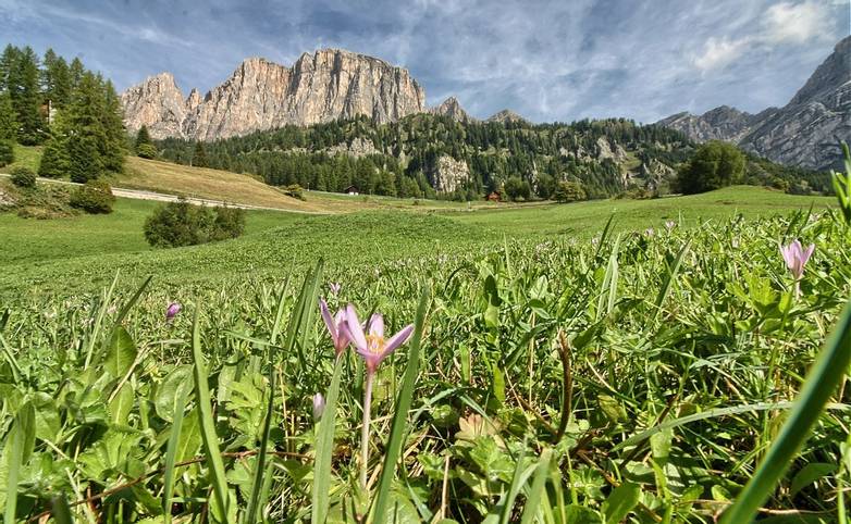 The Dolomites - Selva - AdobeStock_224866590.jpeg