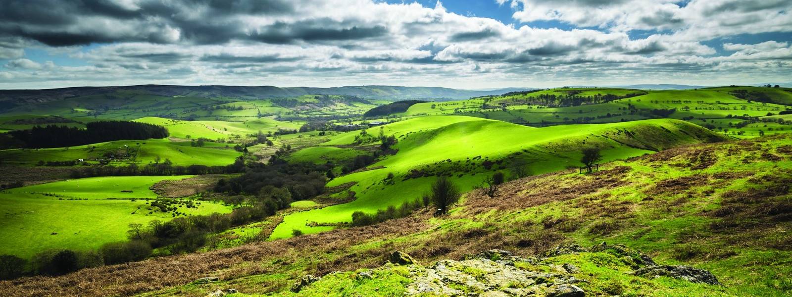 British Countryside Green Hills at Spring