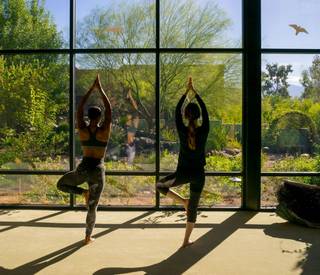 canyon-ranch-tucson-yoga-silhouette.jpg