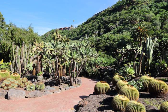 Jardin Canario, Gran Canaria  shutterstock_349179992.jpg