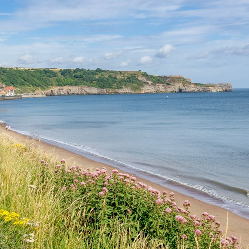 West Cliff Beach, Whitby, North Yorkshire 