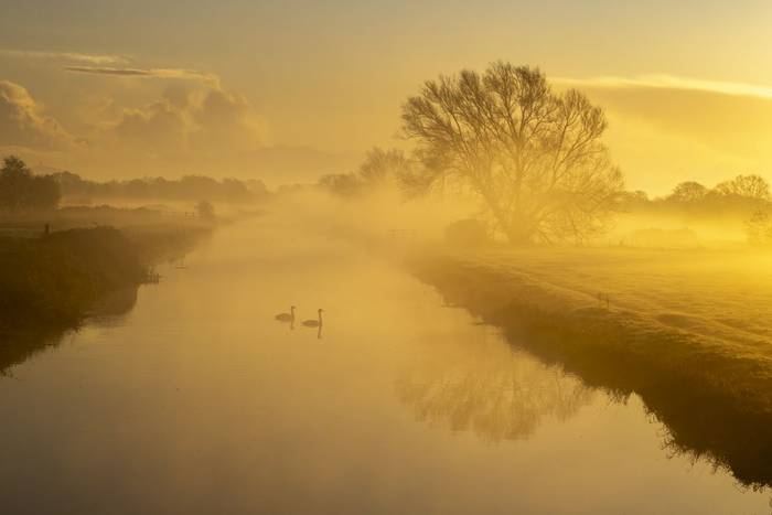 Catcott (Oliver Smart)