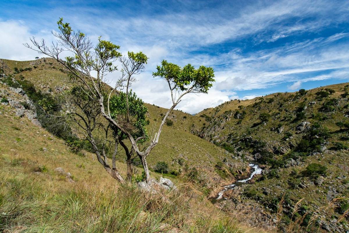 Eswatini - HF Holidays